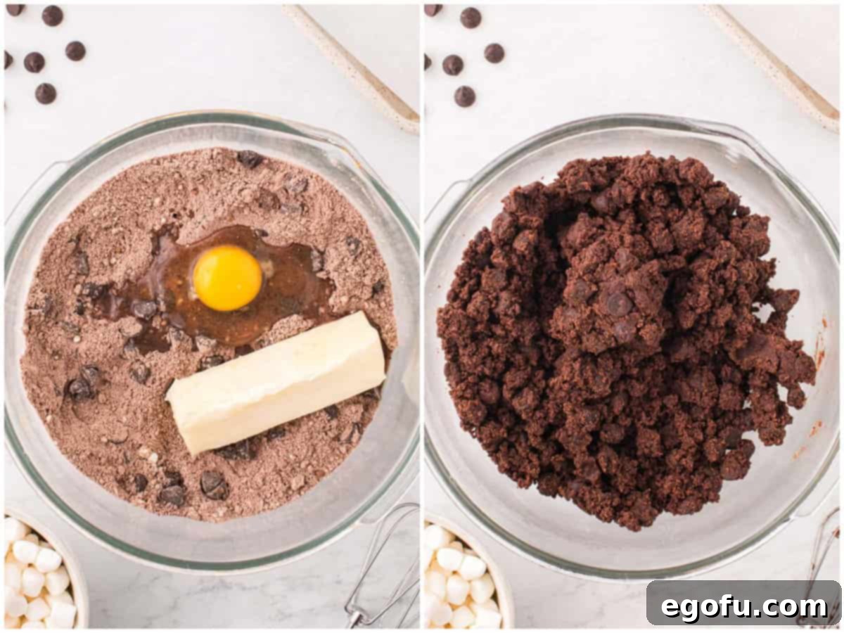 A mixing bowl with sugar cookie mix, cocoa powder, egg, and butter; A thick chocolate cookie dough.