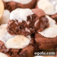 Close up looking at a Hot Chocolate Cookie with Marshmallows that someone took a bite of.