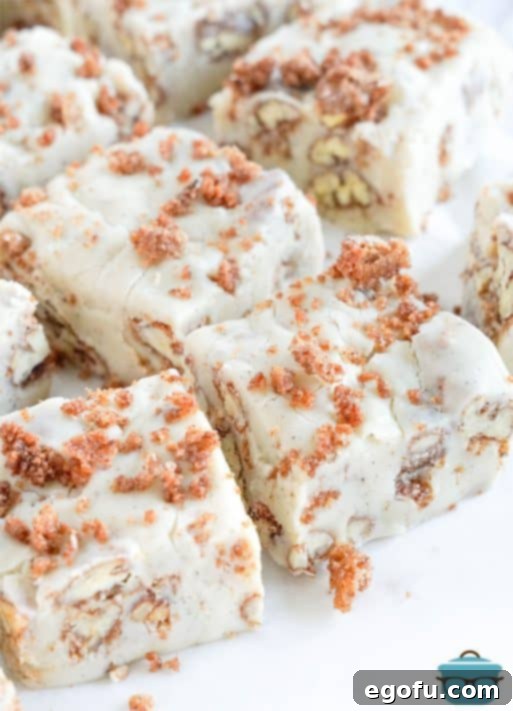 A few pieces of Candied Pecan Fudge cut into squares.