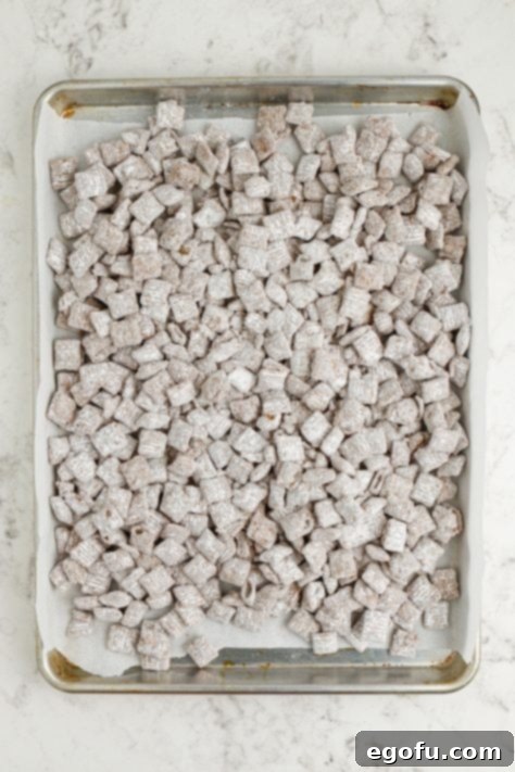 Harvest Puppy Chow Delight 12 A baking sheet filled with powdered sugar-coated Chex cereal, spread out to cool.