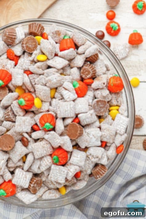 Harvest Puppy Chow Delight 13 A large mixing bowl filled with the finished Thanksgiving Puppy Chow, showcasing all the mixed-in candies.