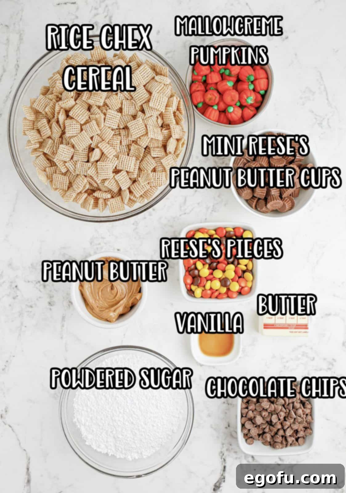 Harvest Puppy Chow Delight 4 A beautiful flat lay photograph displaying all the ingredients needed for Thanksgiving Puppy Chow: rice Chex cereal, mallowcreme pumpkins, creamy peanut butter, powdered sugar, semi-sweet chocolate chips, butter, vanilla extract, mini Reese's peanut butter cups, and Reese's Pieces.