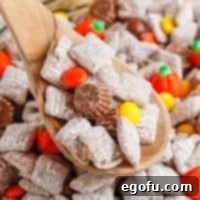 Harvest Puppy Chow Delight 8 A wooden spoon in a bowl of Thanksgiving Puppy Chow, emphasizing the texture and festive mix-ins.