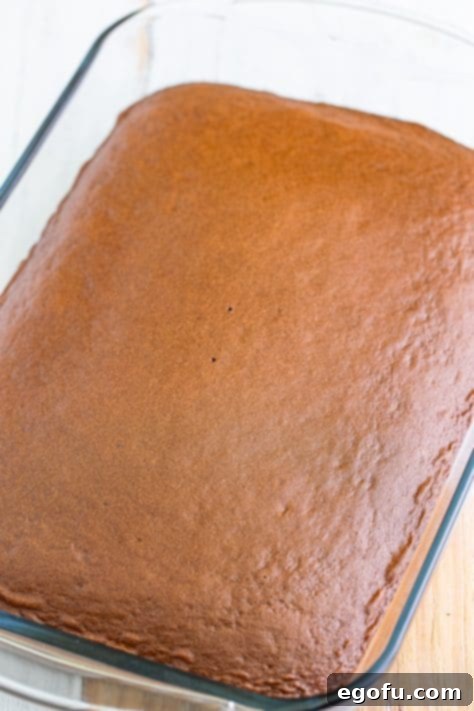 A baked chocolate fudge cake.