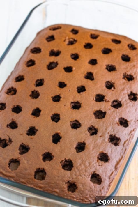 Chocolate cake with holes poked in it.