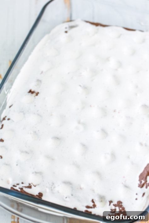 Marshmallow creme mixture with peppermints crushed in, spread over a chocolate cake.