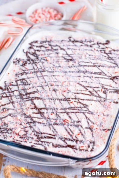 Chocolate sauce drizzled on top of cake.