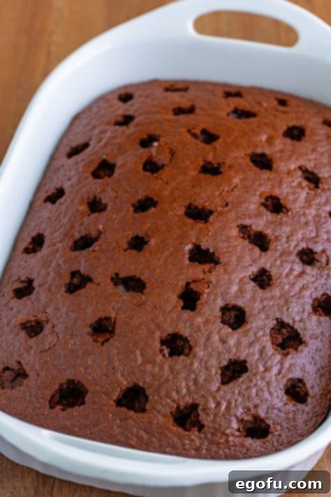 Peppermint Patty Poke Cake 11 A chocolate cake with holes poked in it.