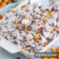 Close up looking down on a bowl of Chex Mix Muddy Buddies.