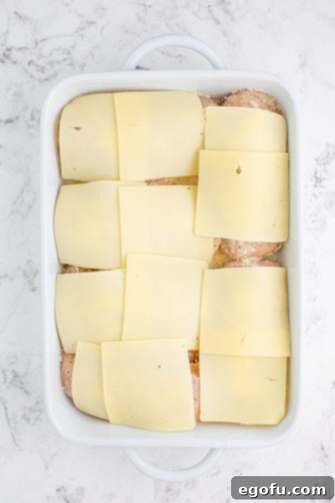 Swiss cheese on top of seasoned chicken breasts in a baking dish.