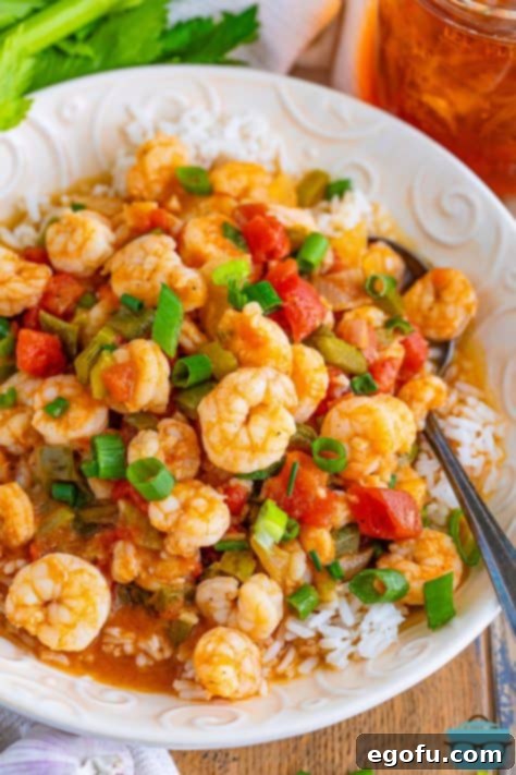 A freshly prepared plate of Shrimp Étouffée, garnished with green onions, ready to be served, showcasing the rich sauce and tender shrimp.