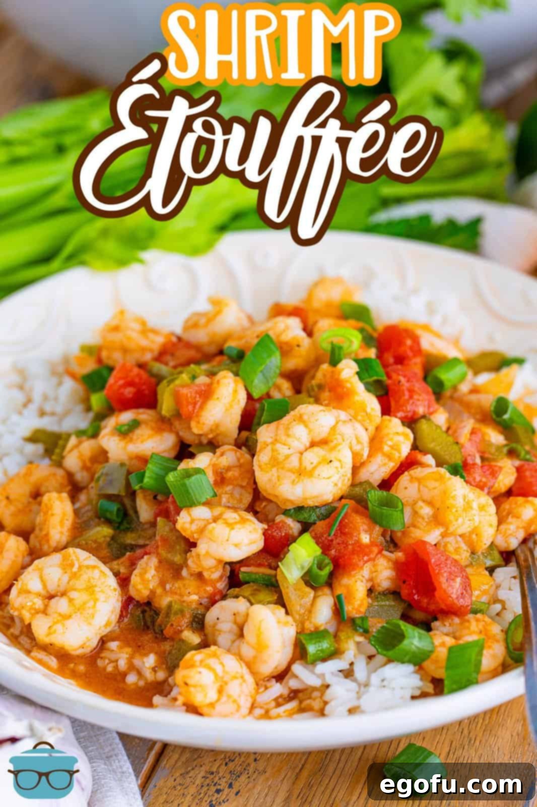 A generous serving of Shrimp Étouffée piled high on a white plate, garnished with fresh green onions and ready to be enjoyed.
