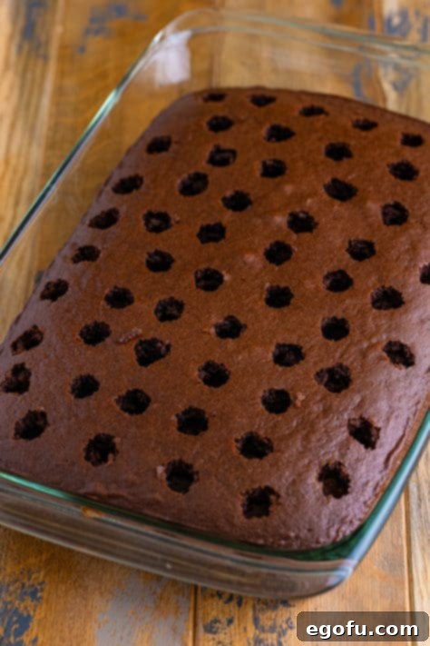 A chocolate cake with holes poked in it.
