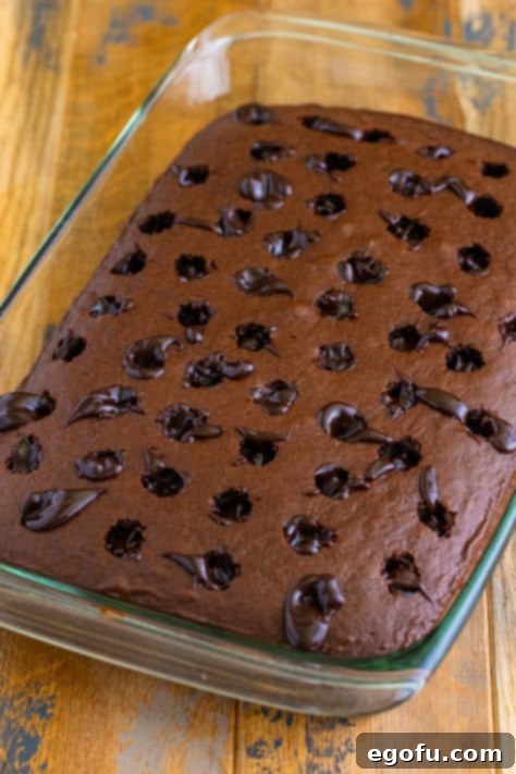 Hot fudge sauce in the holes in a chocolate cake.