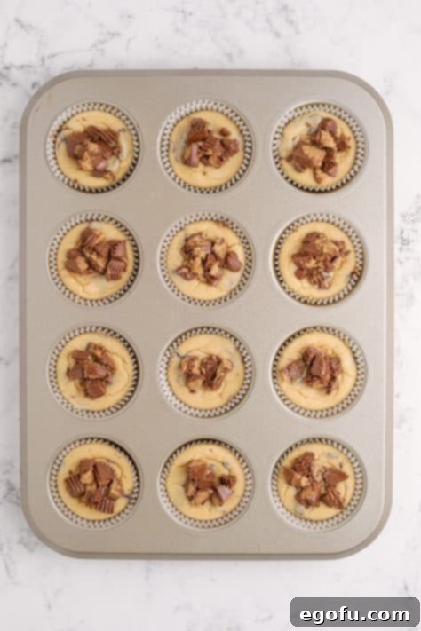 Reese's Peanut Butter Cheesecake Minis 15 More crushed peanut butter cups on top of mini cheesecakes.