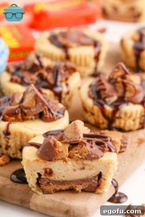Reese's Peanut Butter Cheesecake Minis 16 A few Reese's Mini Cheesecakes in a row.