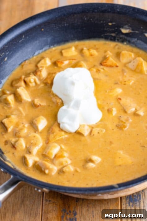 Velvety Chicken and Mushroom Feast 19 Sour cream on top of the chicken and cream sauce.