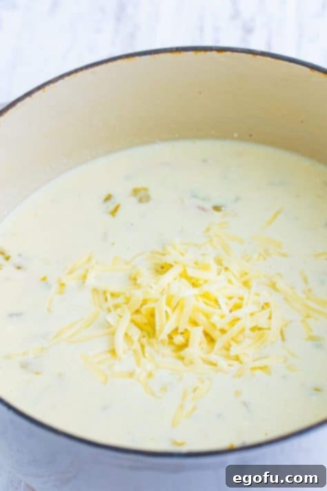 shredded cheese added to soup in dutch oven.