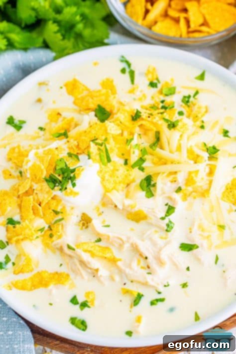 Looking down closely on a garnished pot of White Chicken Enchilada Soup.