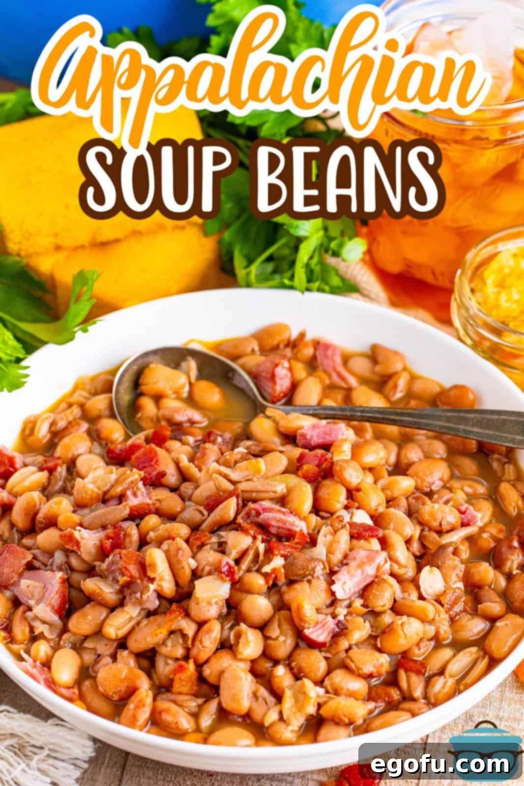A large white bowl of Soup Beans with a spoon in it.
