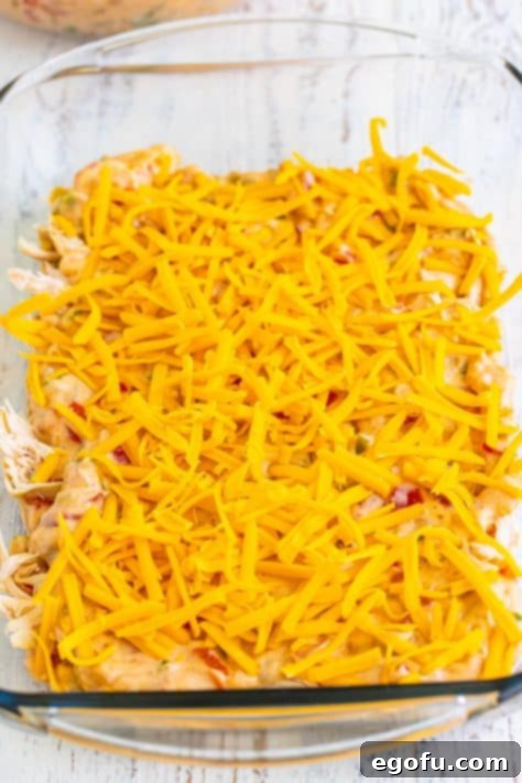 A baking dish with sauce, shredded chicken, and cheddar cheese in layers.