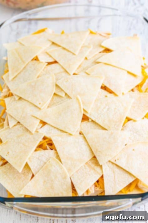 cut corn tortillas layered in a casserole dish.