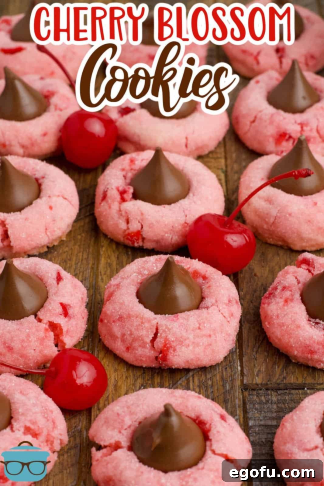 Sakura Bloom Bites 3 Close up looking at some Cherry Blossom Cookies.