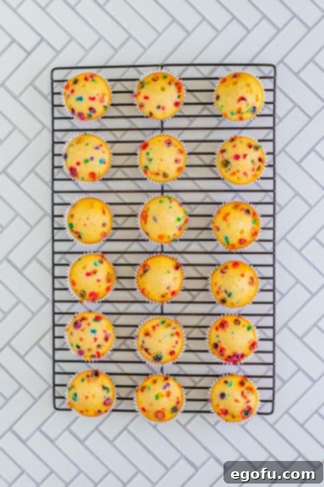 Festive Confetti Cupcakes 17 Funfetti Cupcakes cooling on a wire rack, ensuring they are ready for frosting.