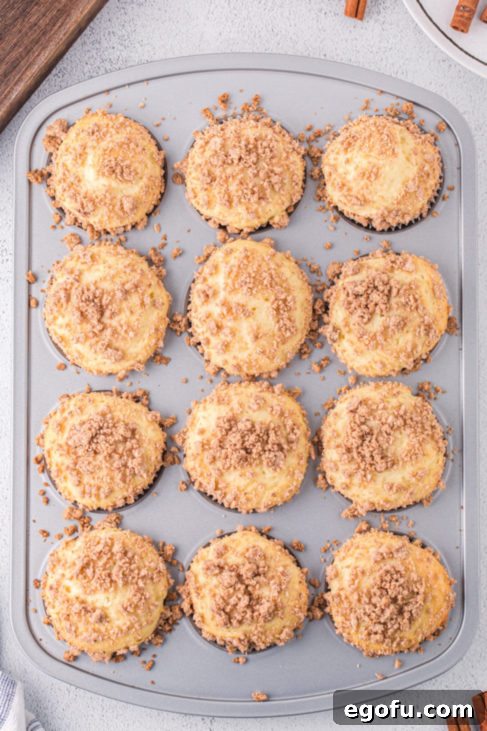 Fresh baked Cinnamon Streusel Cake Mix Muffins in the pan still, golden brown and perfectly risen.