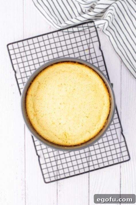 A baked Lemon Magic Cake in a pan.
