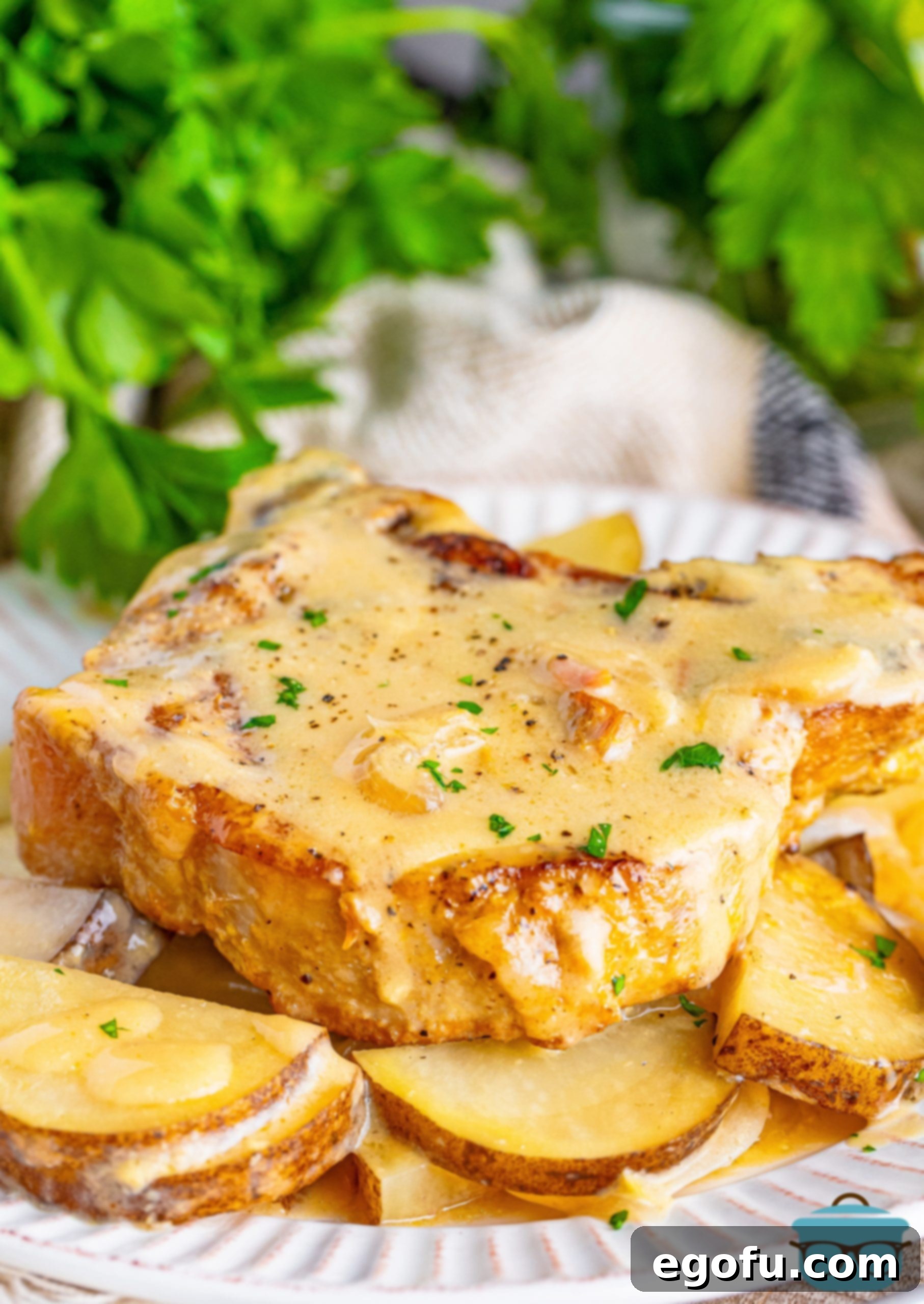 Easy One-Pot Pork Chops and Potatoes for Two 2 A plate of Crock Pot Pork Chops and potatoes for two.