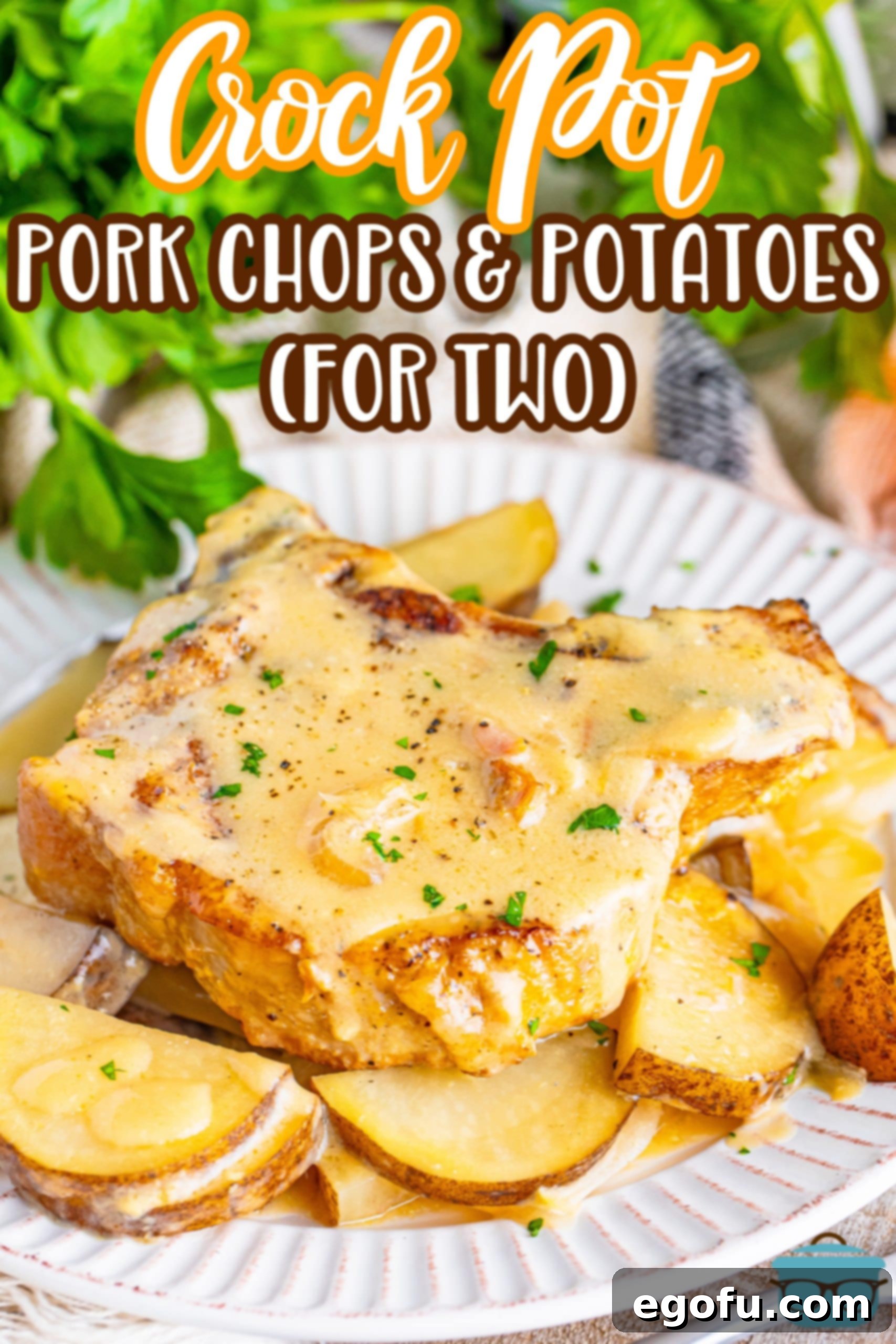 Easy One-Pot Pork Chops and Potatoes for Two 3 A plate with Slow Cooker Pork Chops with Potatoes for two.