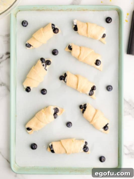 Unbaked Blueberry Cheesecake crescent rolls on a baking sheet.