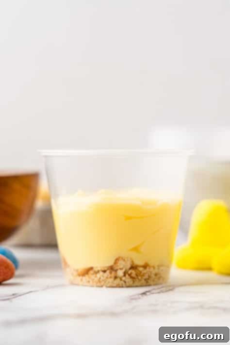 A plastic cup with a cookie crumb layer and a pudding layer.