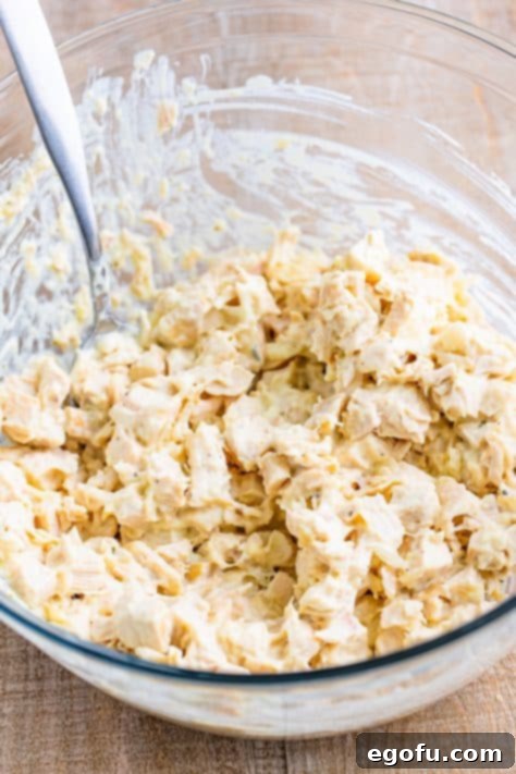 A creamy chicken in a mixing bowl.