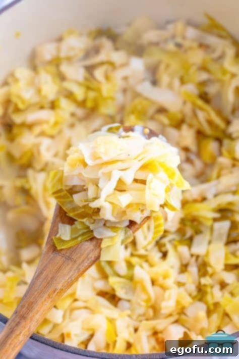 A spoon holding a serving of Quick Sauerkraut.