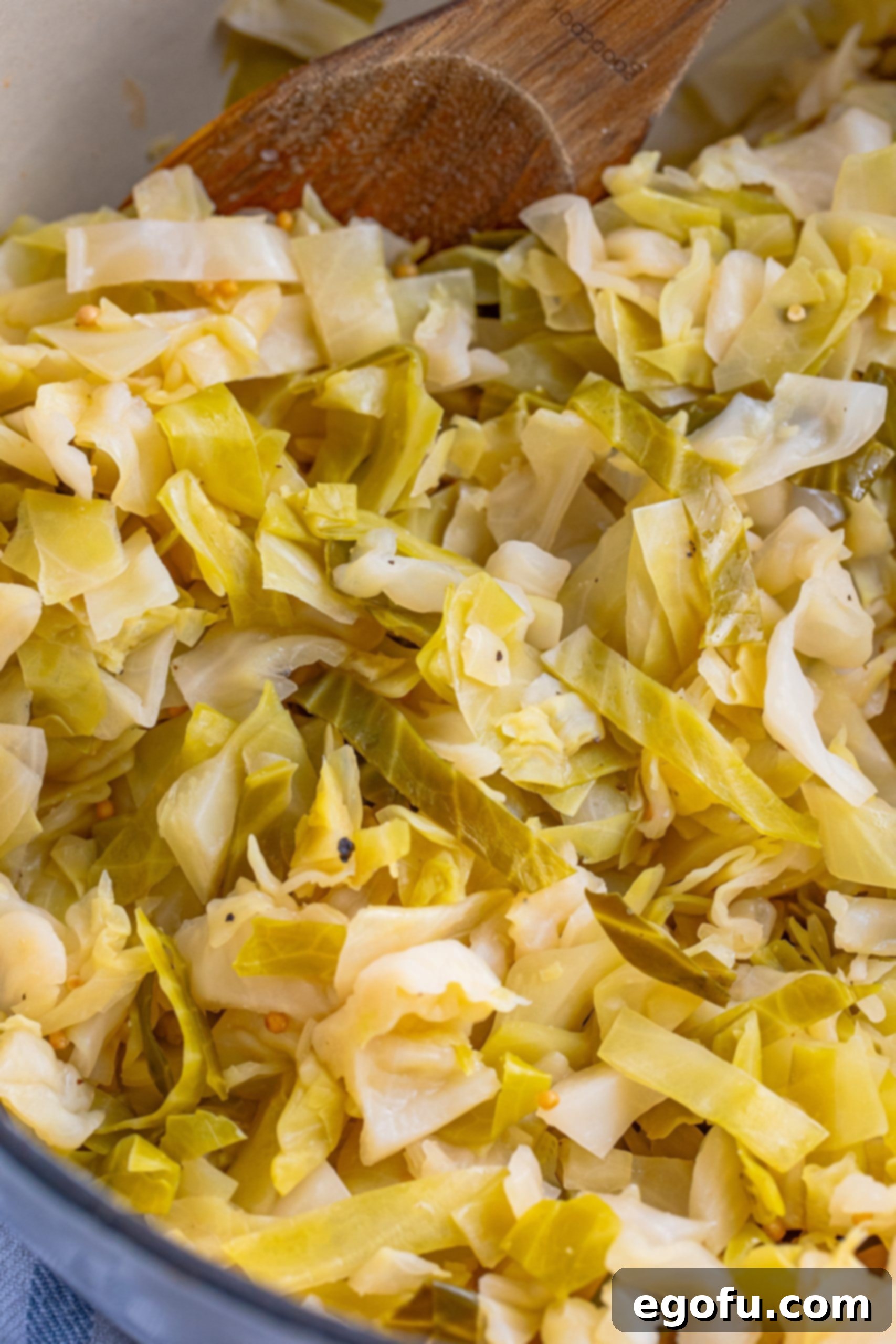 Cooked Quick Sauerkraut in a pot. 