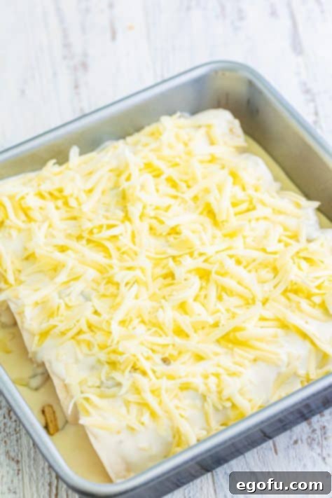 Date Night White Chicken Enchiladas 12 Shredded cheese on chicken enchiladas in a baking dish.