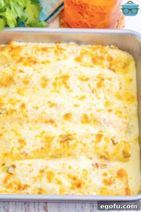 Date Night White Chicken Enchiladas 13 A baking dish of White Chicken Enchiladas.