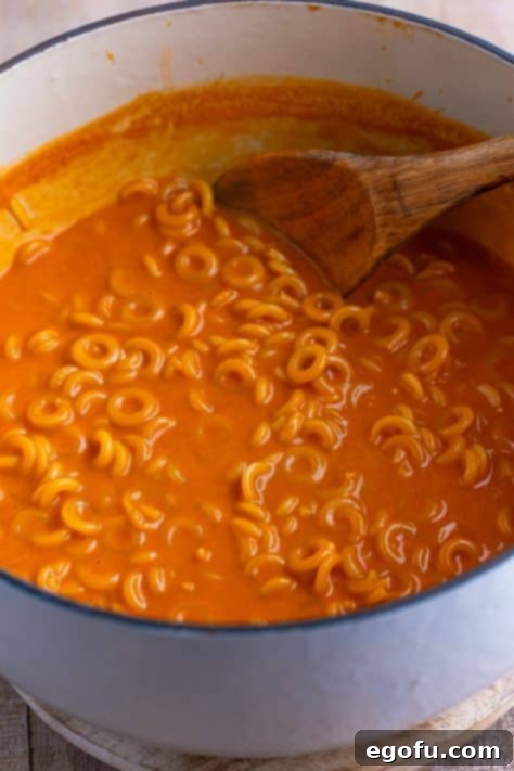 Wholesome Pasta O's 9 spaghettios simmering in a pot with tomato sauce and a wooden spoon.