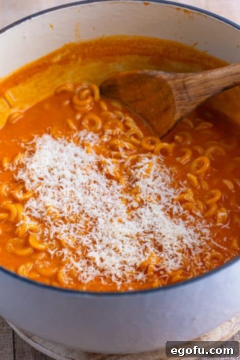 Wholesome Pasta O's 10 Parmesan on top of Homemade Spaghettios.