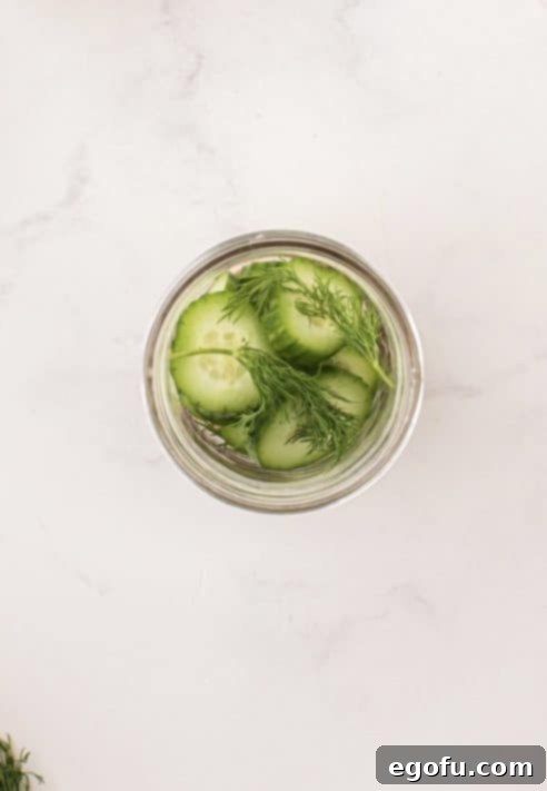 Small sprigs of fresh dill added to mason jar.