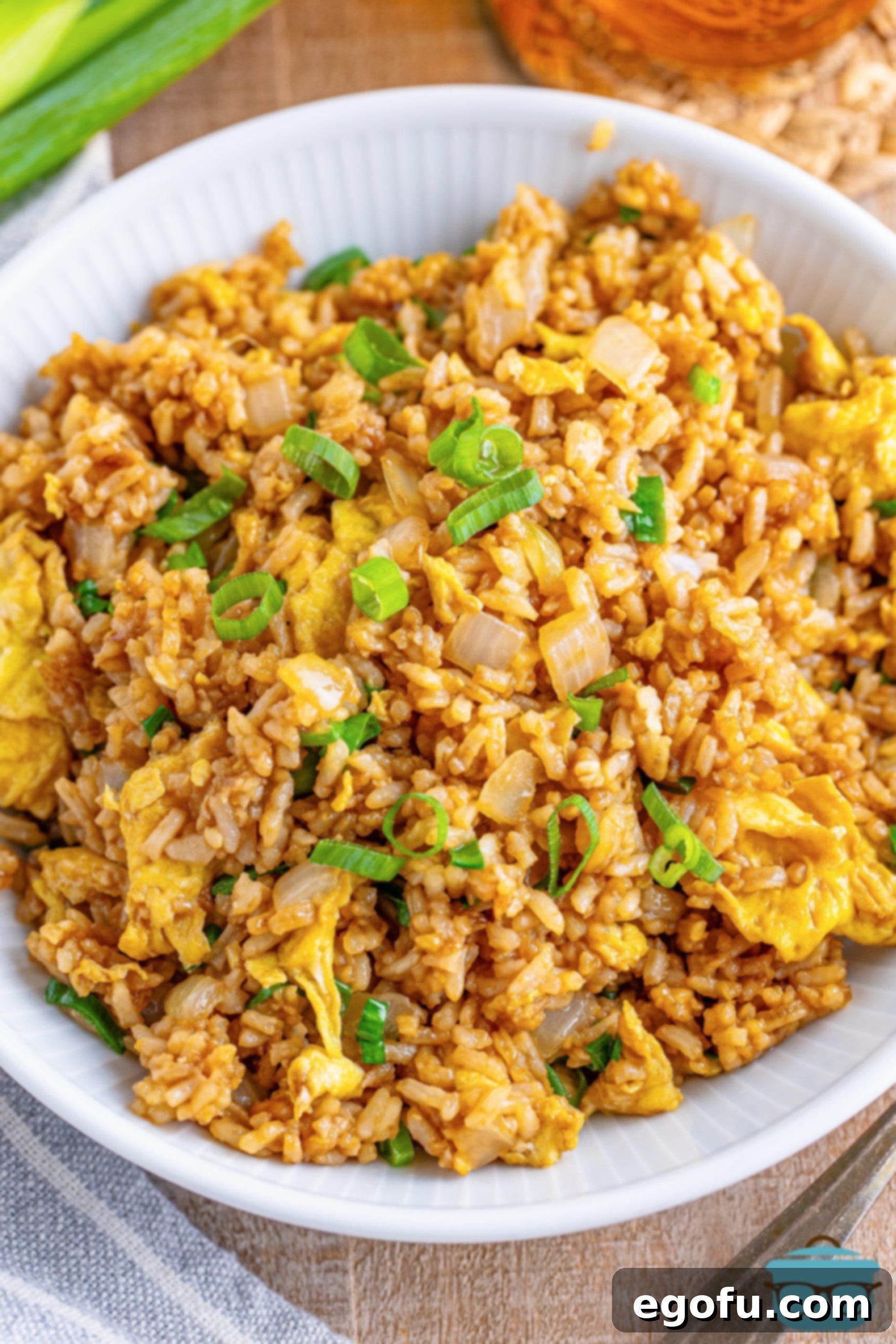 Looking down on a bowl of perfectly cooked Hibachi Fried Rice, garnished with fresh green onions.
