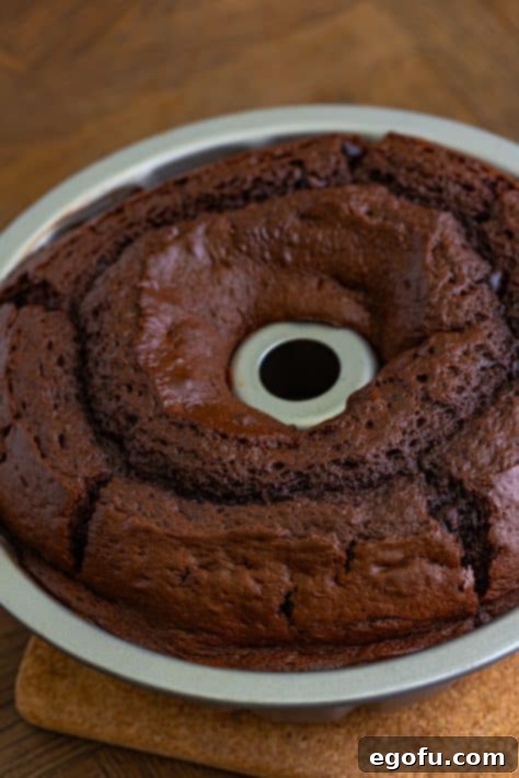 Velvet Chocolate Pudding Bundt 14 A baked chocolate cake in a bundt pan.