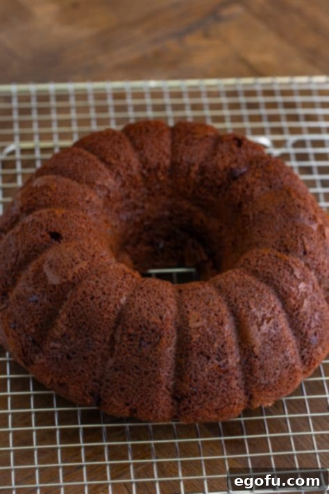 Velvet Chocolate Pudding Bundt 15 A freshly baked Chocolate Bundt Cake on a wire rack.
