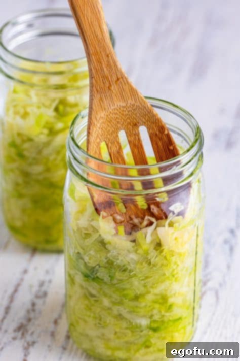 Fermented Goodness at Home 14 Cabbage in a jar with a wooden spoon pressing it down.