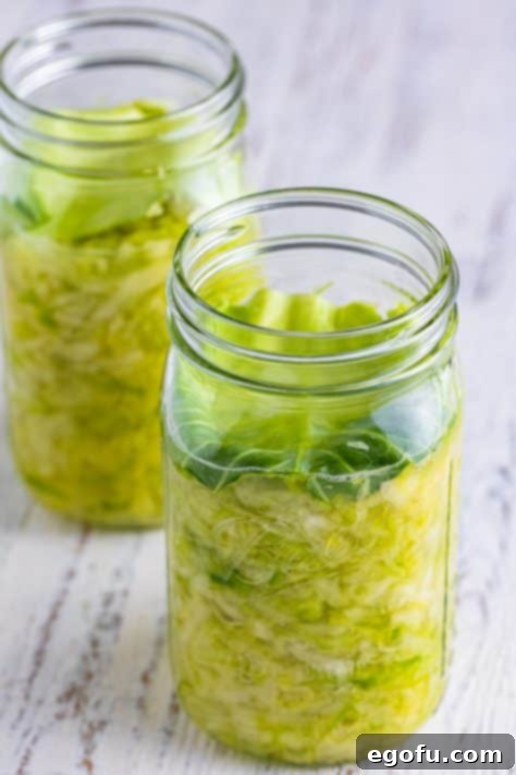 Fermented Goodness at Home 15 Cabbage leaves on top of shredded cabbage in a jar.