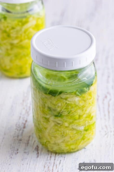 Fermented Goodness at Home 16 A closed jar of shredded cabbage and salt.