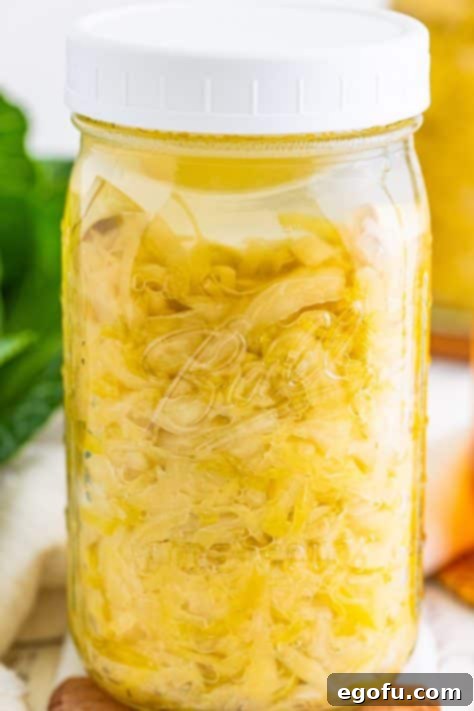 Fermented Goodness at Home 17 A jar of Sauerkraut fermenting