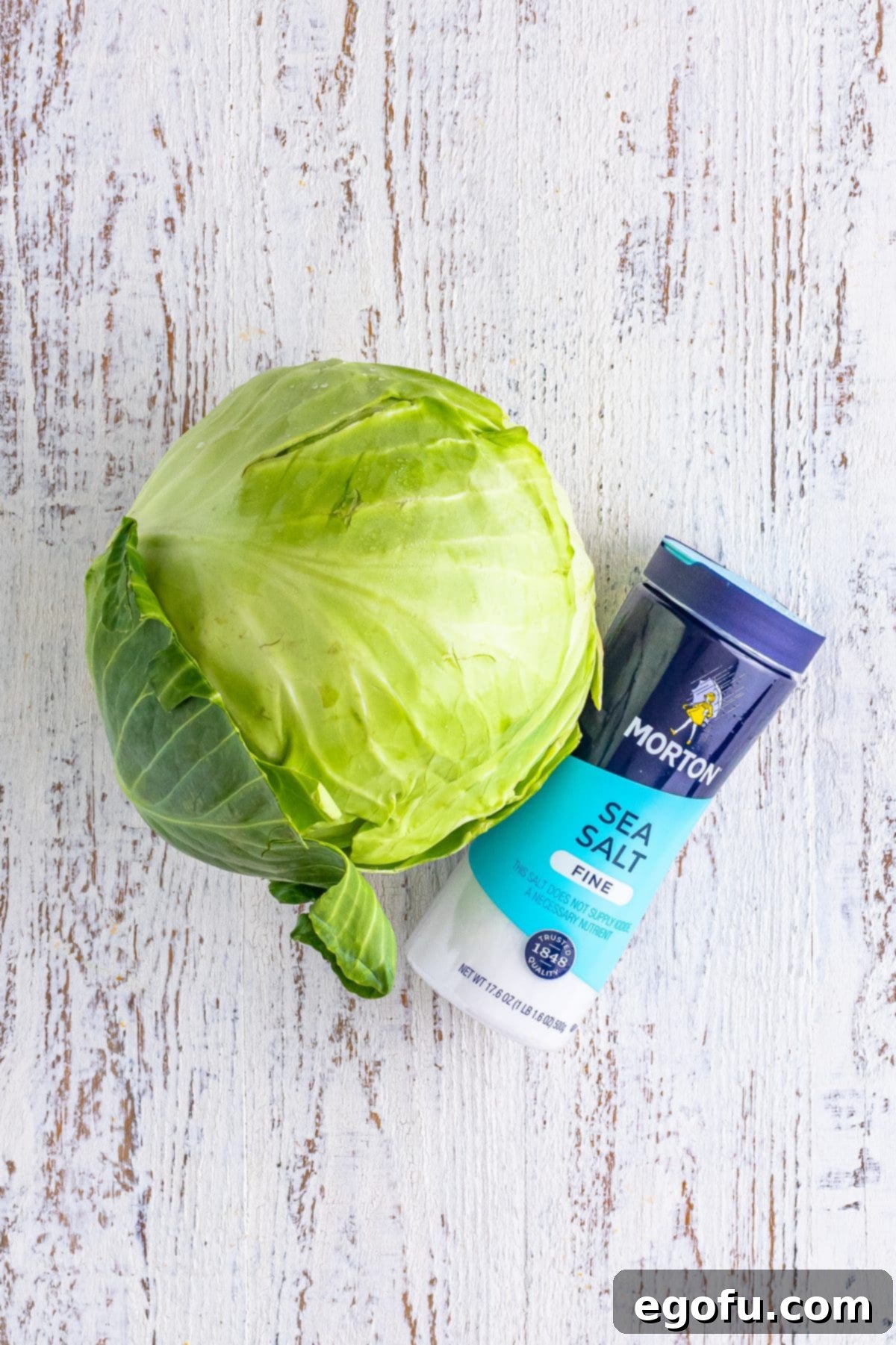 Fermented Goodness at Home 4 A head of cabbage and fine sea salt.